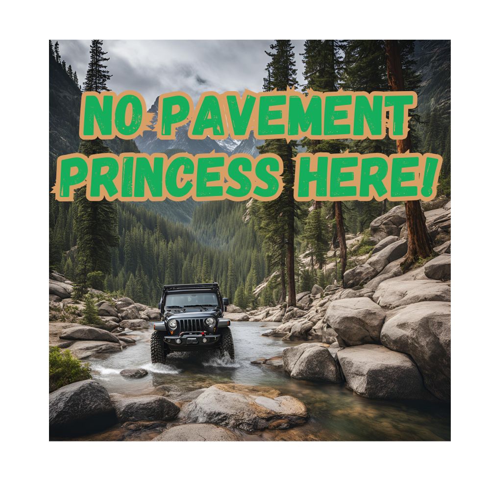 NO PAVEMENT PRINCESS HERE